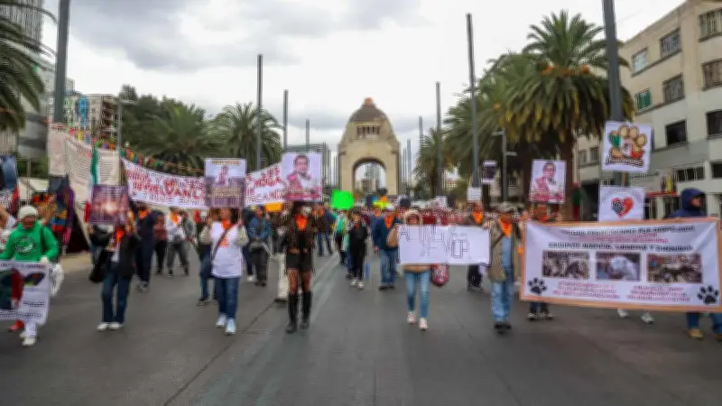 Protestas Animalistas y Laborales Marcan la Agenda de Movilizaciones en CDMX Este Lunes