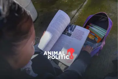 Arriaga de la SEP afirma que libros de texto no se reharán para enriquecer a Marx