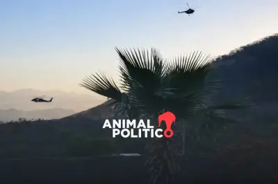 Ataque armado en El Limoncito, Culiacán: Detenidos tras enfrentamiento con crimen organizado