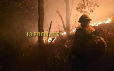 Brigadistas combaten incendios simultáneos en el Bosque de la Primavera y Río Salado en Jalisco