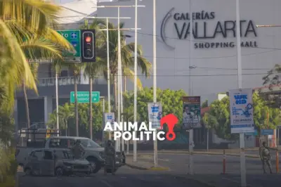 Carteles mexicanos generan graves consecuencias en Estados Unidos