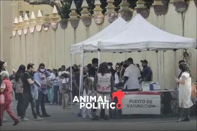 CDMX abre centros de vacunación nocturnos por 15 días para reforzar campaña contra sarampión