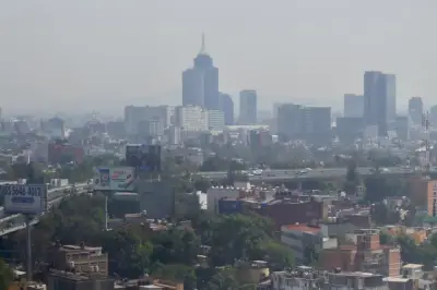 CDMX activa contingencia ambiental por altos niveles de ozono, suspende actividades