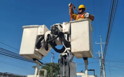 CFE desmiente rumores sobre visitas casa por casa en 2026: son tareas rutinarias