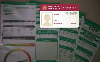 CFE e INAPAM aclaran: No hay descuento automático del 50% en luz para adultos mayores