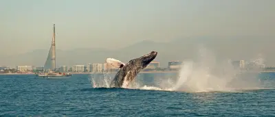 Cineasta mexicana transforma el duelo materno en documental ambiental premiado