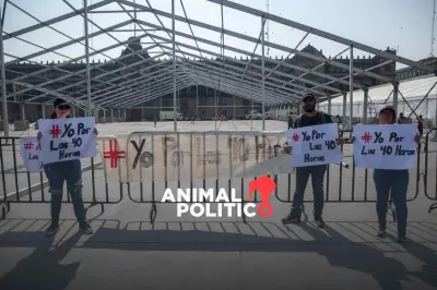 Congresos estatales aprueban reforma para reducir jornada laboral a 40 horas