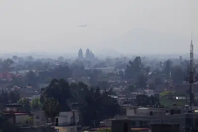 Contingencia ambiental en CDMX: ¿Qué enfermedades se agravan por la mala calidad del aire?