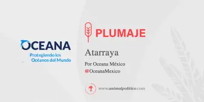 Cooperativas pesqueras: la lucha histórica por la soberanía marítima en México