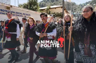 Corte de Tenejapa en Chiapas: Territorio Zapatista en Disputa