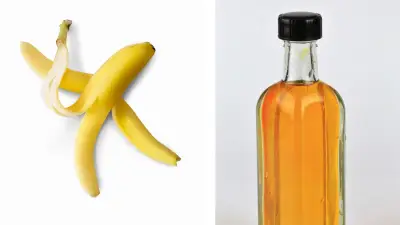 Cáscara de Plátano y Vinagre: Un Fertilizante Casero para Plantas en el Hogar