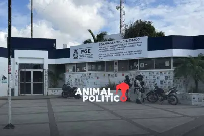 Desaparición de mineros en Concordia: Sheinbaum investiga posible extorsión