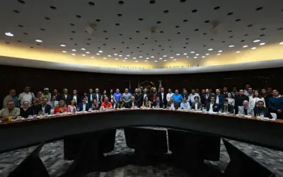 Diputada Mery Pozos destaca ventajas estratégicas de México en el T-MEC ante economistas