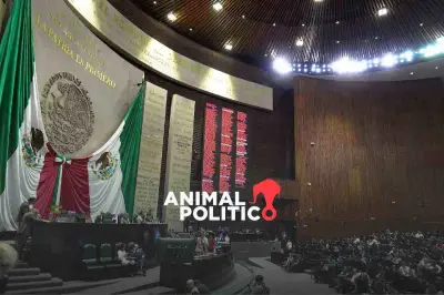 Diputados aprueban que el delito de abuso sexual se persiga de oficio en México