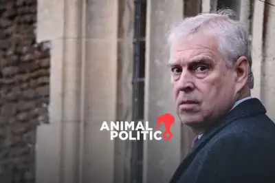 Diputados de EE.UU. Revelan Nuevos Documentos Vinculados al Caso Epstein y el Príncipe Andrés