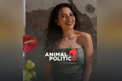 El Caso Renata Palmer: Un Feminicidio que Expone las Fallas del Sistema de Justicia