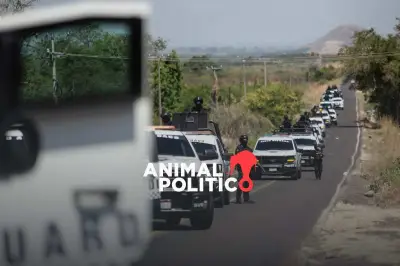 El CJNG usa desinformación en redes para atacar a rivales y autoridades