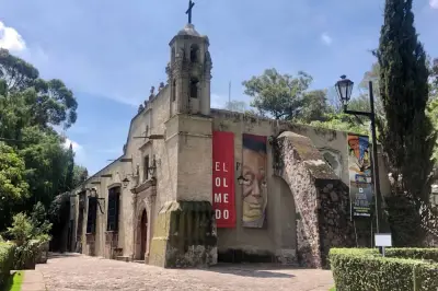 El Museo Dolores Olmedo reabre sus puertas tras una profunda renovación integral