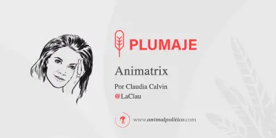 El vínculo social: la medicina más poderosa contra el aislamiento en la vejez