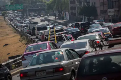 Escasez de placas vehiculares en CDMX: retrasos de un mes y proveedor único