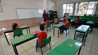 Especialistas Exigen Revisión del Modelo Educativo y Fin a la Herencia Obradorista