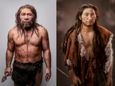 Estudio revela que los 'desiertos neandertales' en nuestro ADN se deben a interacciones sociales