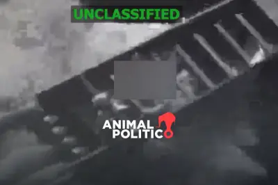 EU intensifica operativos contra narcolanchas en el Caribe y Pacífico con saldo mortal