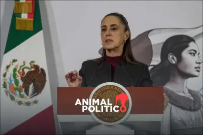 Familiares de Pepe Aguilar no eran objetivo del ataque en Zacatecas, aclara Sheinbaum