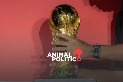 FIFA investiga casos de corrupción que involucran a directivos y empresarios