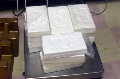 Hallan 16 kilos de cocaína en tráiler en aduana de Brownsville, Texas