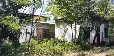 Hallan 7 cuerpos en fosa clandestina de Jáltipan, Veracruz; continúan búsquedas