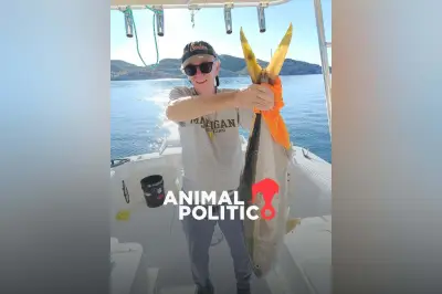 Hallan sin vida a ciudadano estadounidense desaparecido en Sonora; investigan causas