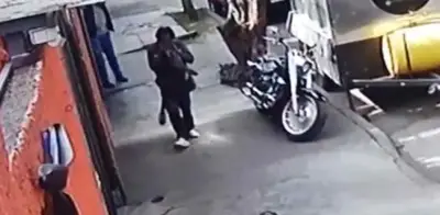 Hombre mata y consume gatos crudos en Azcapotzalco; activistas denuncian