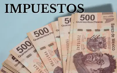 Impuestos 'Absurdos' en la Historia de México: De Puertas a Perros