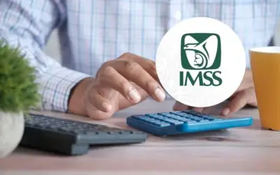 IMSS: Requisitos de semanas cotizadas para pensionarse según la ley aplicable