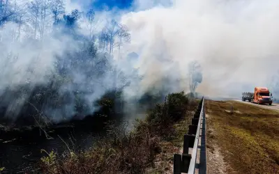 Incendio forestal en Everglades de Florida consume 25 mil acres sin control por sequía severa