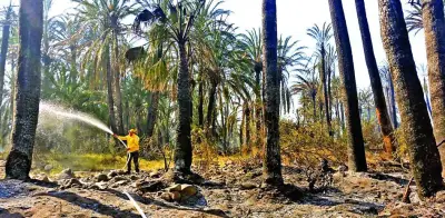 Incendios forestales se intensifican en México: Oaxaca reporta 50 siniestros y Hidalgo suma nuevos focos