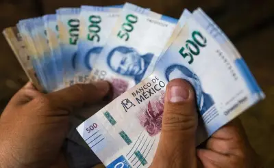 Ingresos federales inician 2026 con récord histórico gracias a mayor recaudación fiscal