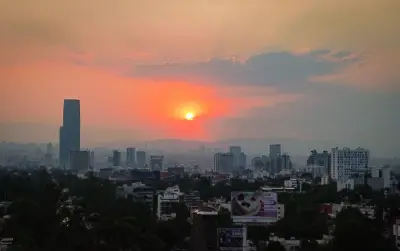 Iniciativa busca hacer obligatorio el home office durante contingencias ambientales en CDMX