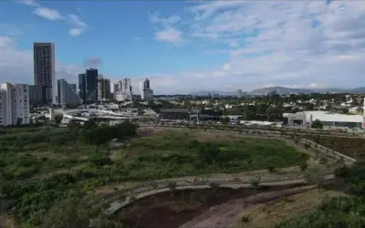 Jalisco celebra victoria judicial para proteger Bosque Colomos III de urbanización