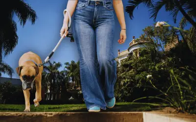 La Calle Libertad en Guadalajara: El Paseo Perfecto para Ti y Tu Perro