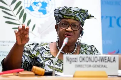 La directora de la OMC advierte sobre la necesidad urgente de una reforma en la organización
