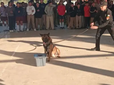 Max, el binomio canino que combate las drogas en escuelas de Tamaulipas