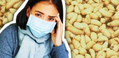 Miasis por gusano barrenador en México: Casos humanos aumentan a 141 en 8 estados