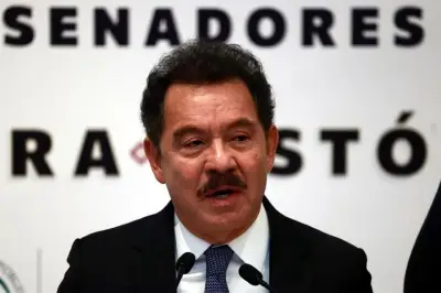 Mier advierte que la reforma electoral se aprobará con o sin aliados