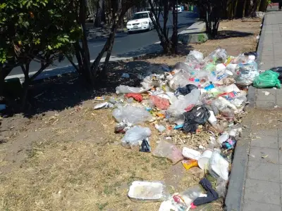 Morena propone endurecer sanciones por tirar basura en espacios públicos de CDMX