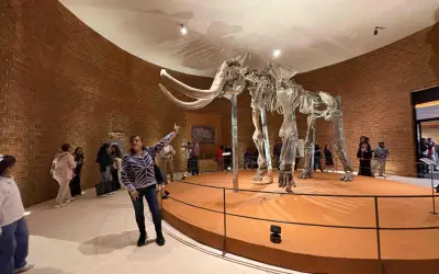 Museo del Mamut en Edomex reabre tras restauración con acceso gratuito