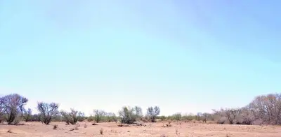 México se calienta más rápido que el planeta, advierten científicos de la UNAM