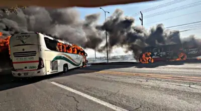 Nayarit suspende clases en todos los niveles por violencia tras muerte de 'El Mencho'