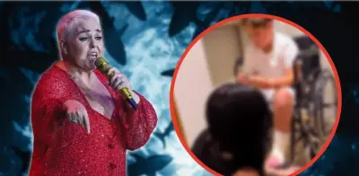 Nieto de Lupita D’Alessio sufre ataque de tiburón en Tulum: ¿Cómo evoluciona su salud?